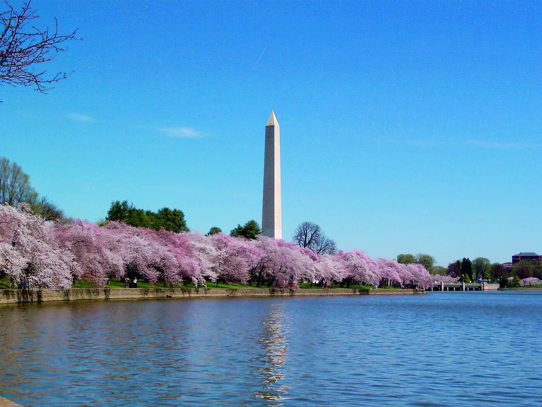 The Ritz-Carlton Washington, D.C. Hotel – Washington, D.C. USA – Washington Monument