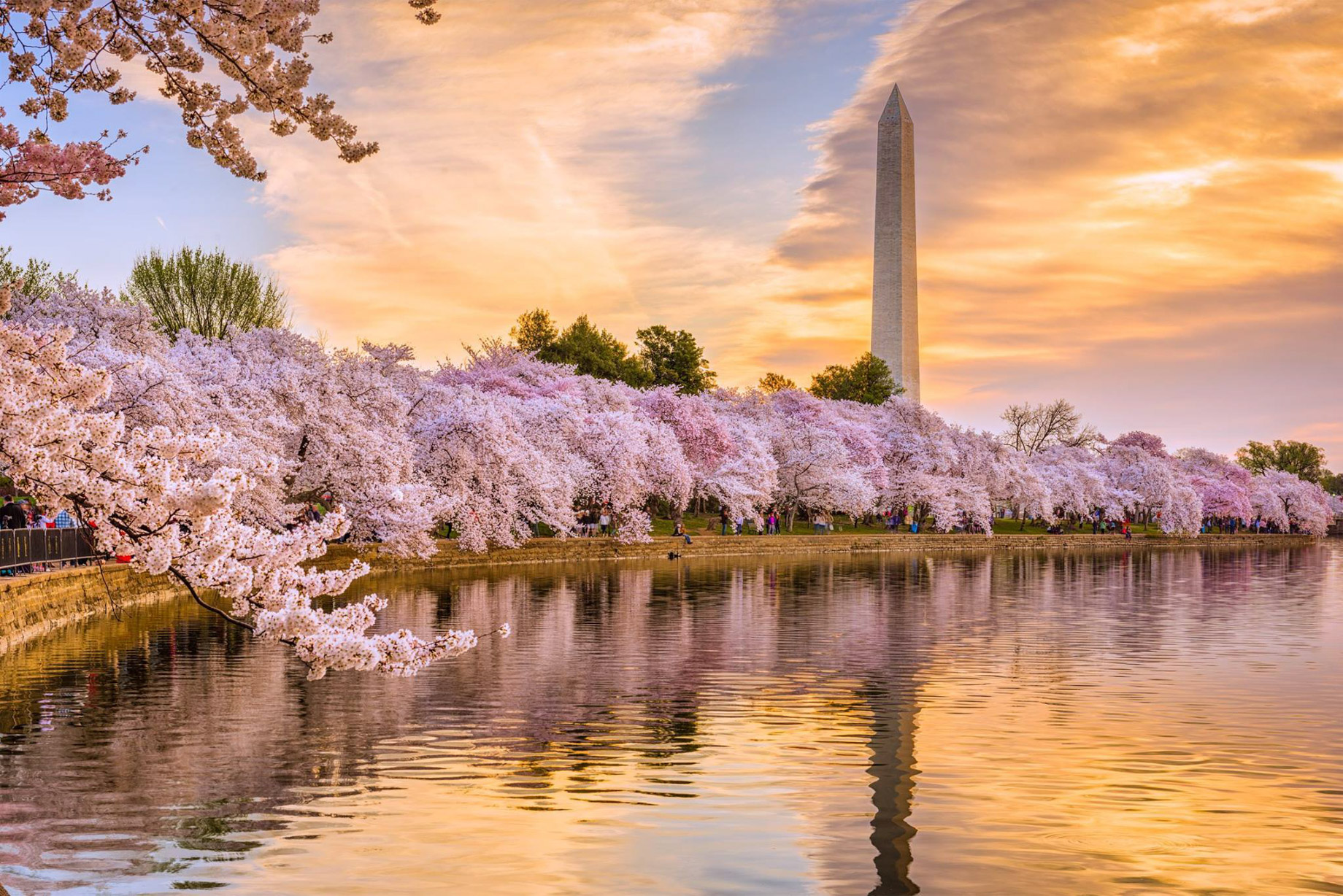 The Ritz-Carlton Georgetown, Washington, D.C. Hotel - Washington, D.C. USA - Washington Monument Sunset