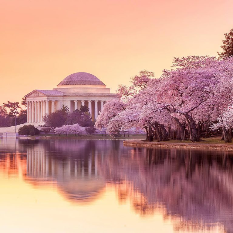 Mandarin Oriental, Washington D.C. Hotel – Washington DC, USA – Cherry Blossoms Monument View