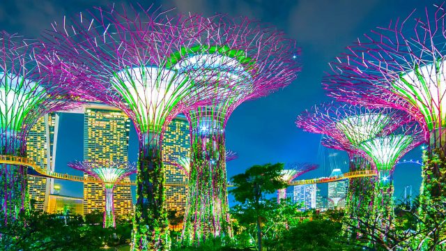 Mandarin Oriental, Singapore Hotel - Singapore - Singapore Gardens by the Bay Night View