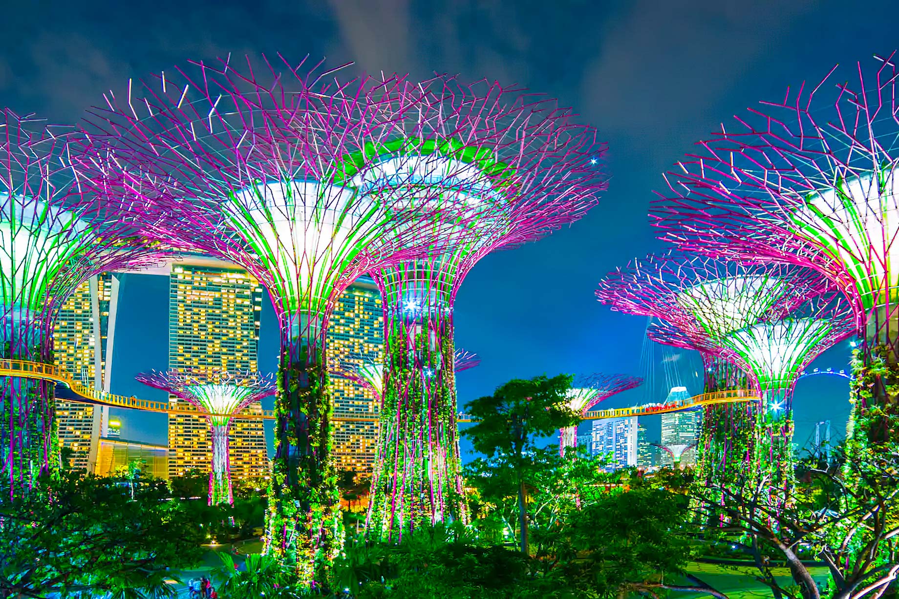 Mandarin Oriental, Singapore Hotel – Singapore – Singapore Gardens by the Bay Night View