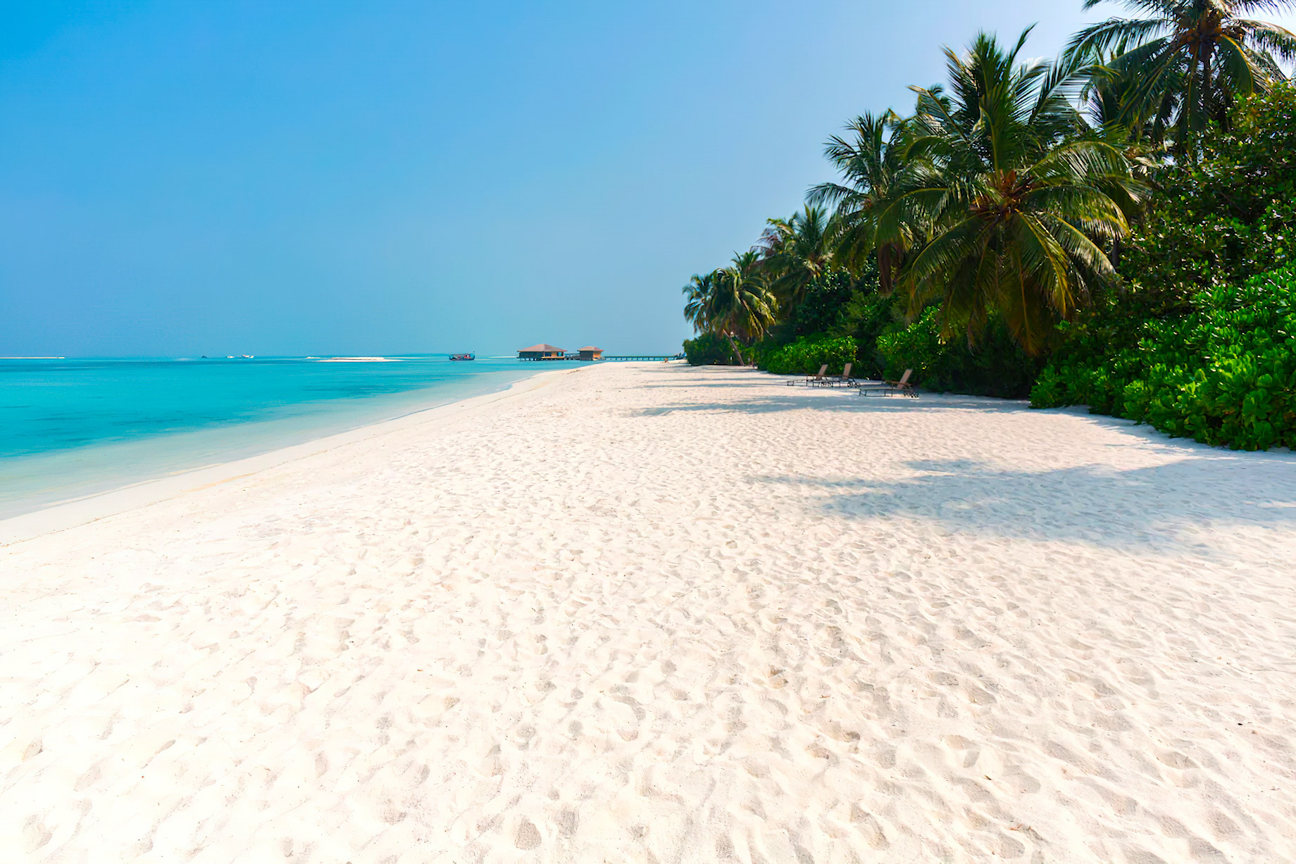 Cocoon Maldives Resort - Ookolhufinolhu, Lhaviyani Atoll, Maldives - White Sand Beach