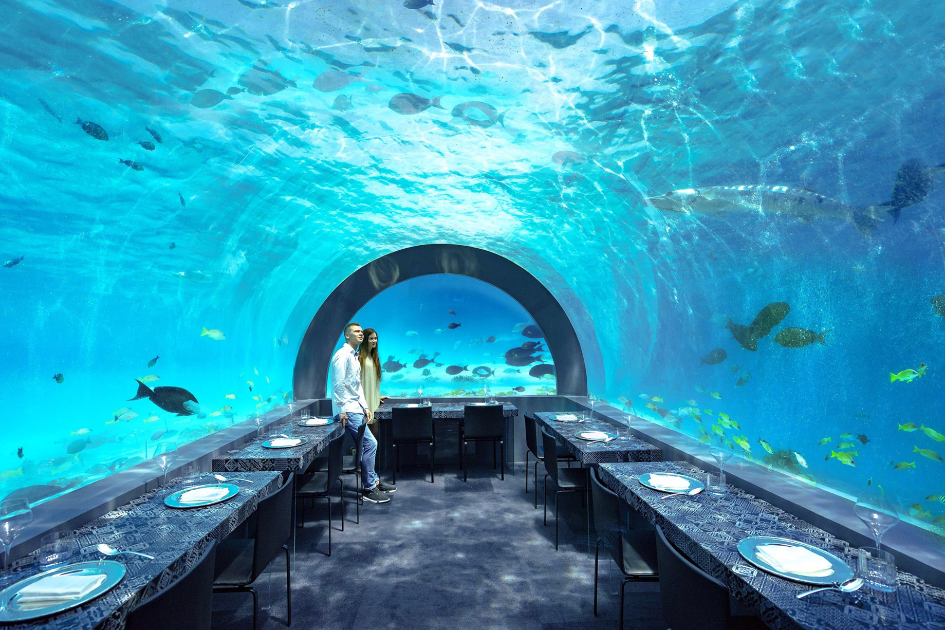 You & Me Maldives Resort - Uthurumaafaru, Raa Atoll, Maldives - H2O Underwater Restaurant by Andrea Berton