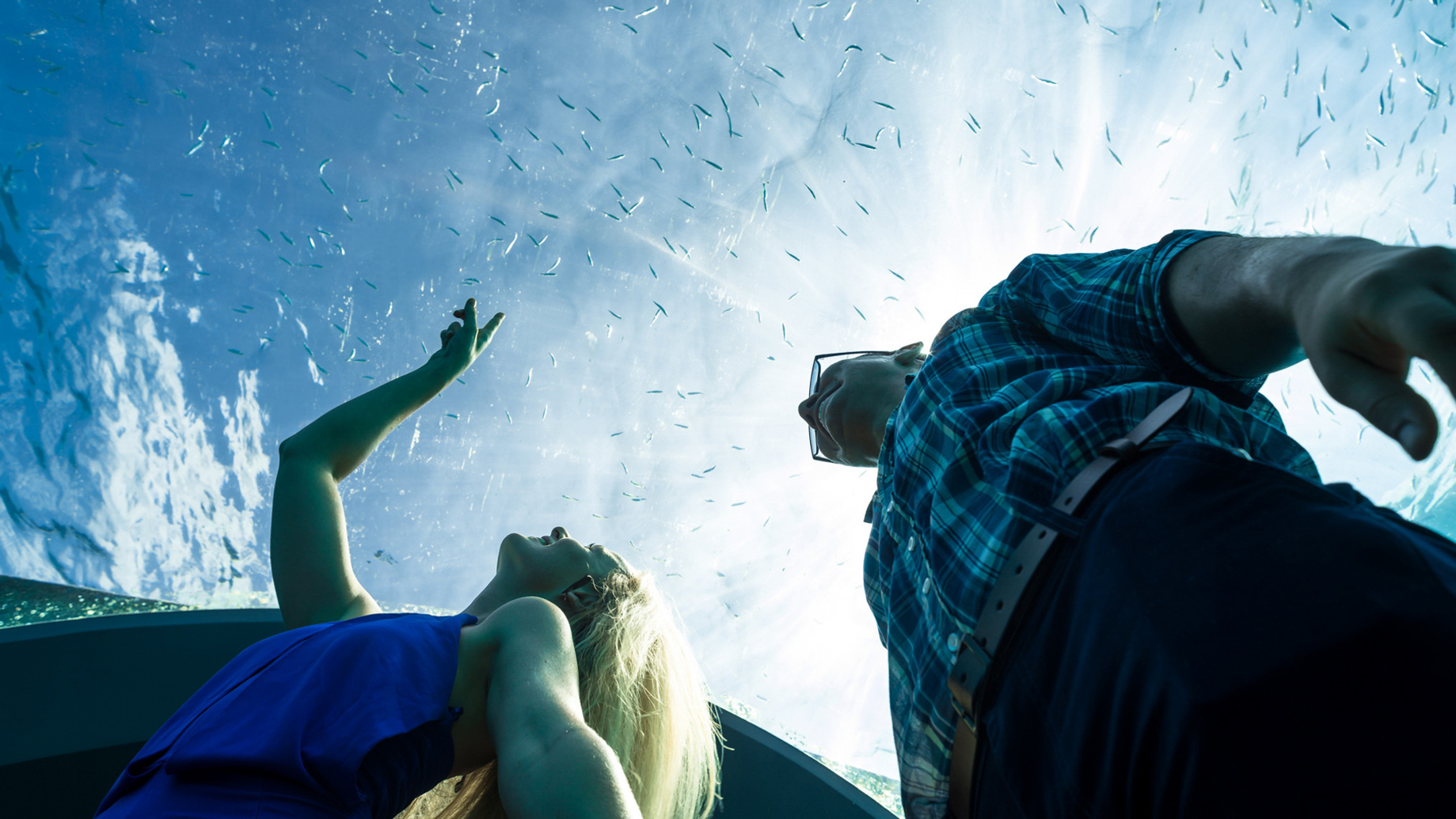 You & Me Maldives Resort - Uthurumaafaru, Raa Atoll, Maldives - H2O Underwater Restaurant by Andrea Berton