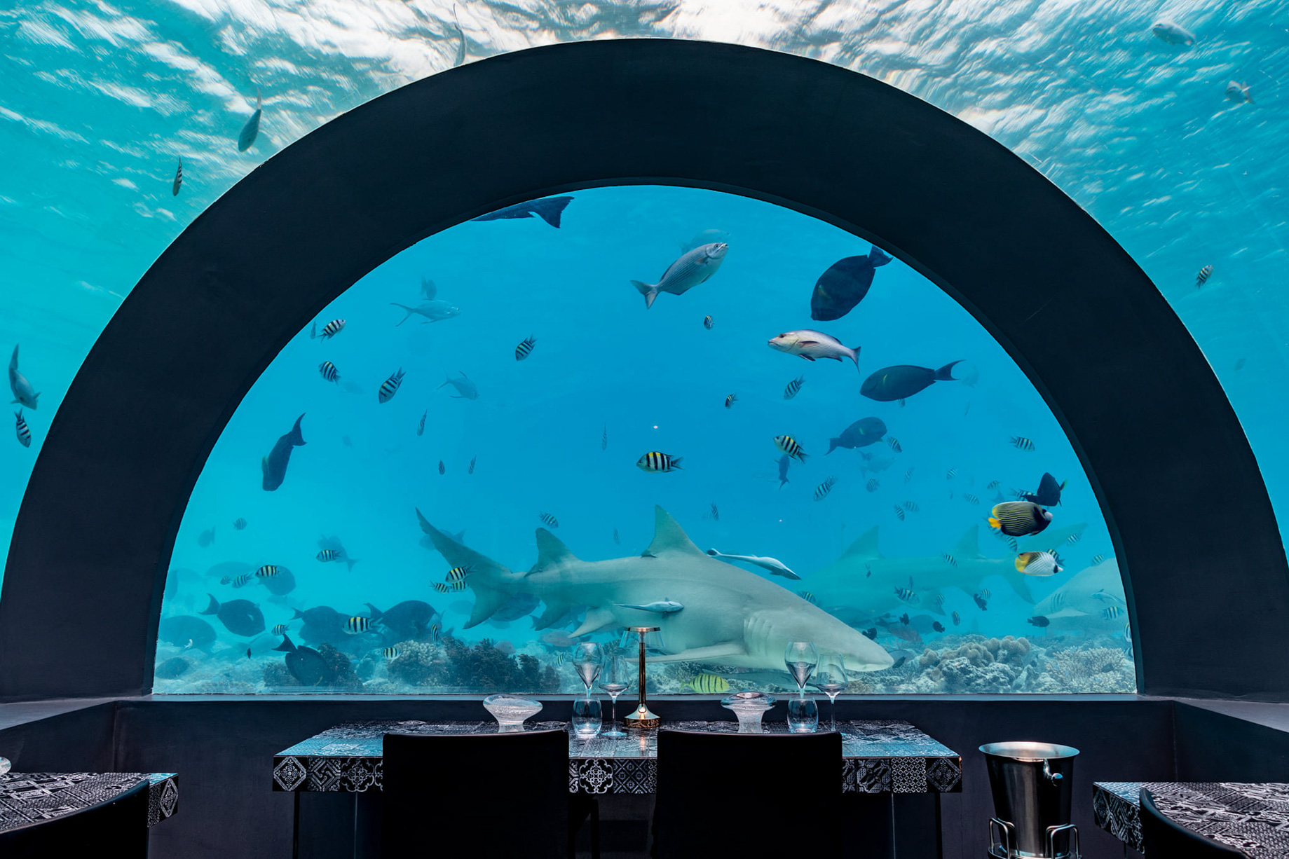 You & Me Maldives Resort - Uthurumaafaru, Raa Atoll, Maldives - H2O Underwater Restaurant by Andrea Berton