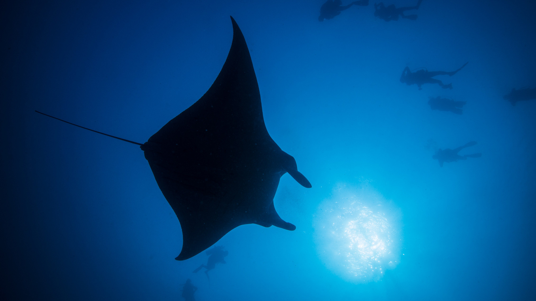 You & Me Maldives Resort - Uthurumaafaru, Raa Atoll, Maldives - Scuba Diving