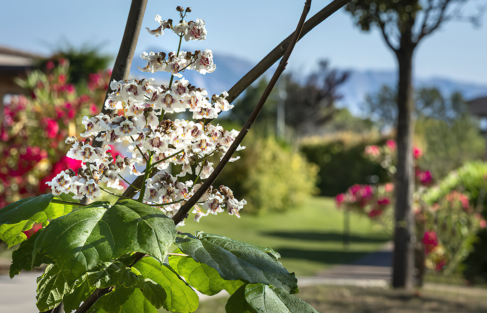 Baglioni Resort Sardinia – San Teodoro, Sardegna, Italy – Resort Property
