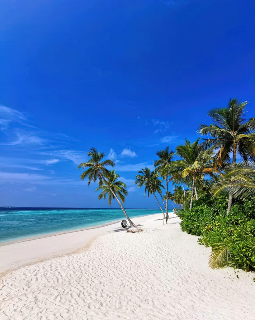 Baglioni Resort Maldives - Maagau Island, Rinbudhoo, Maldives - Beach Palm Tree Hanging Basket Chair