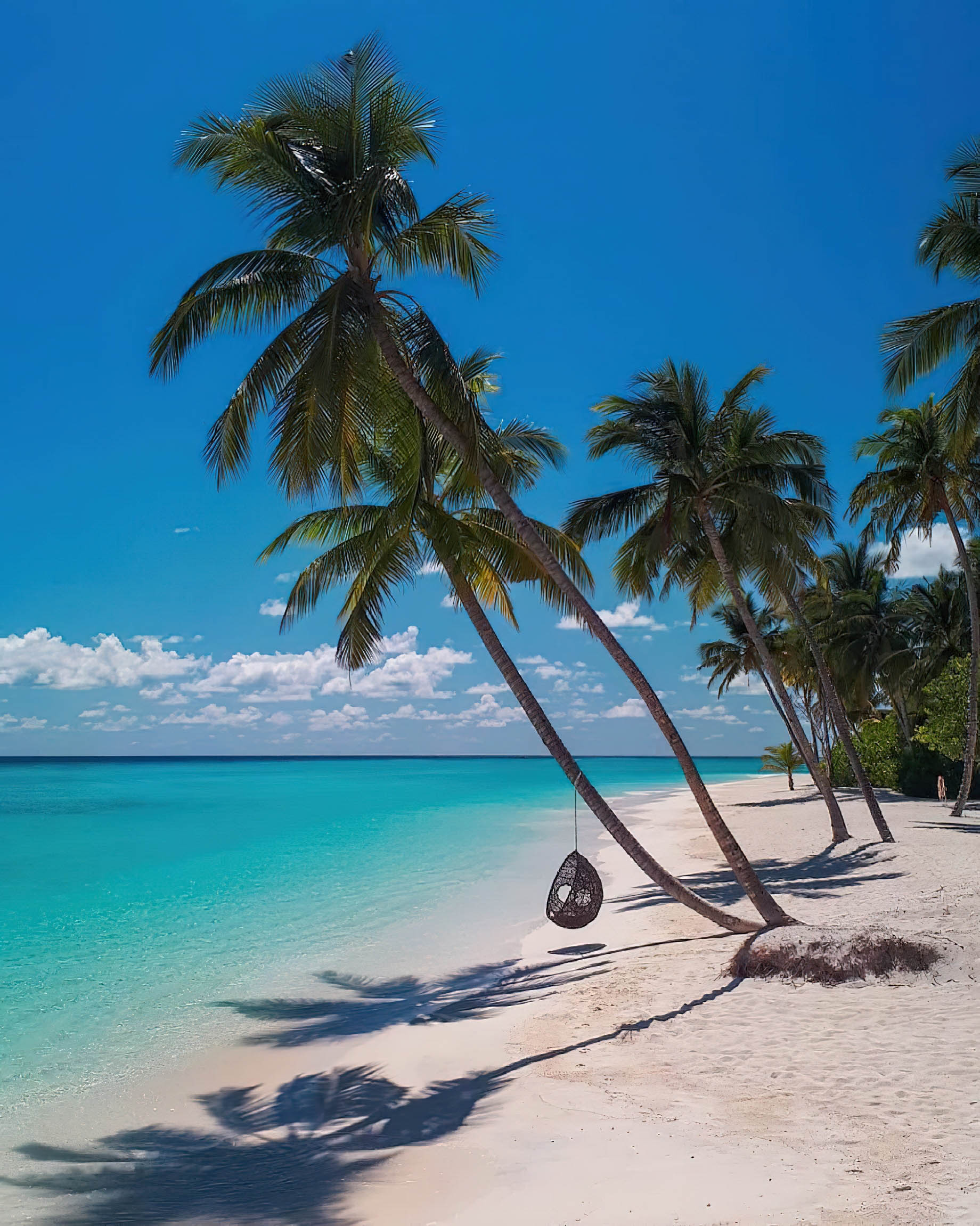 Baglioni Resort Maldives – Maagau Island, Rinbudhoo, Maldives – Beach Palm Tree Hanging Basket Chair
