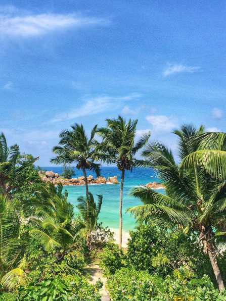Constance Lemuria Resort - Praslin, Seychelles - Palm Trees and Beach