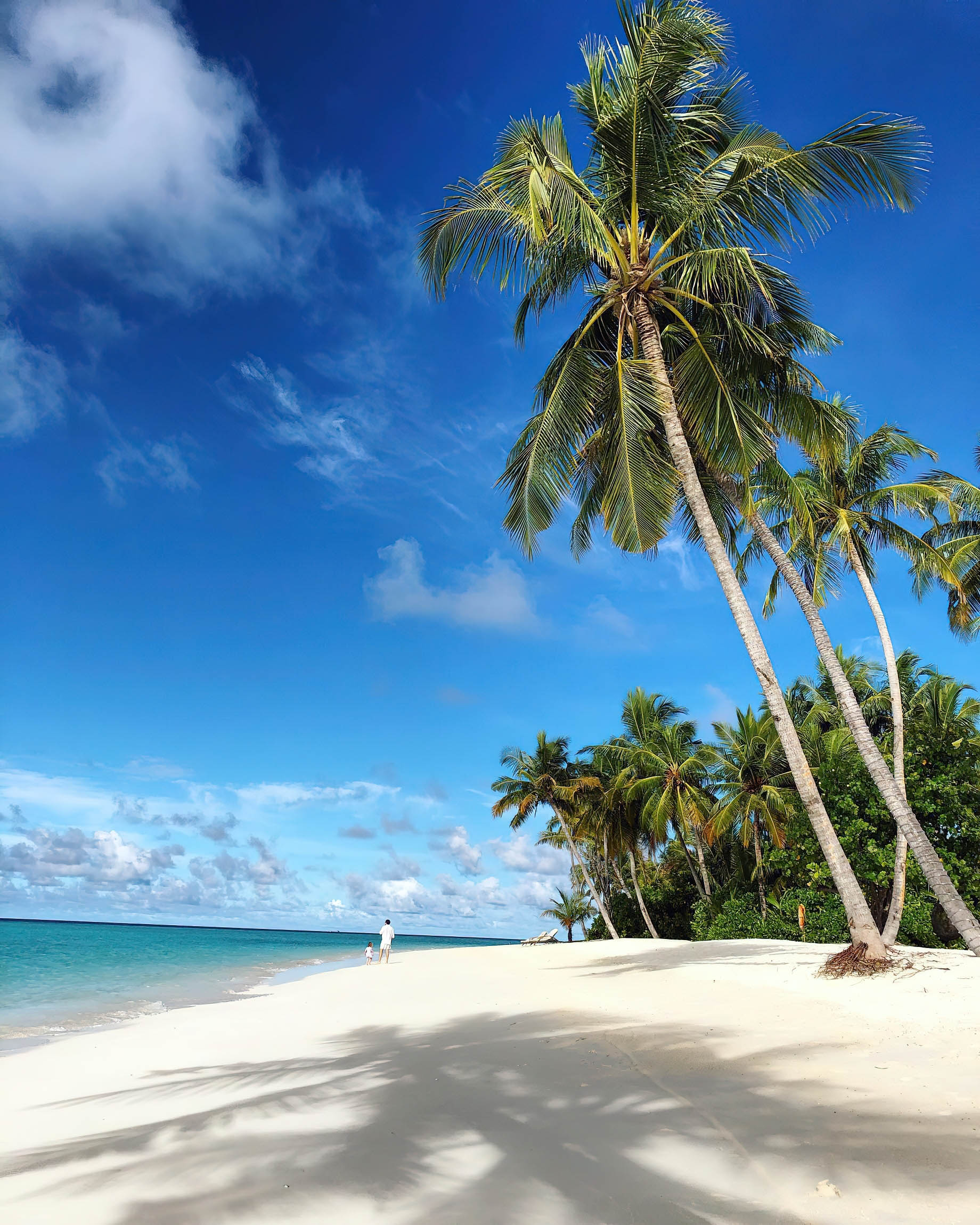 Baglioni Resort Maldives – Maagau Island, Rinbudhoo, Maldives – Beach Palm Trees