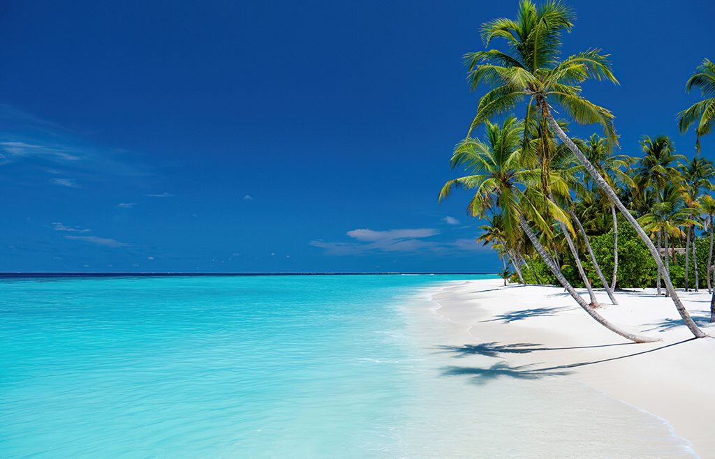 Baglioni Resort Maldives - Maagau Island, Rinbudhoo, Maldives - Beach Palm Trees