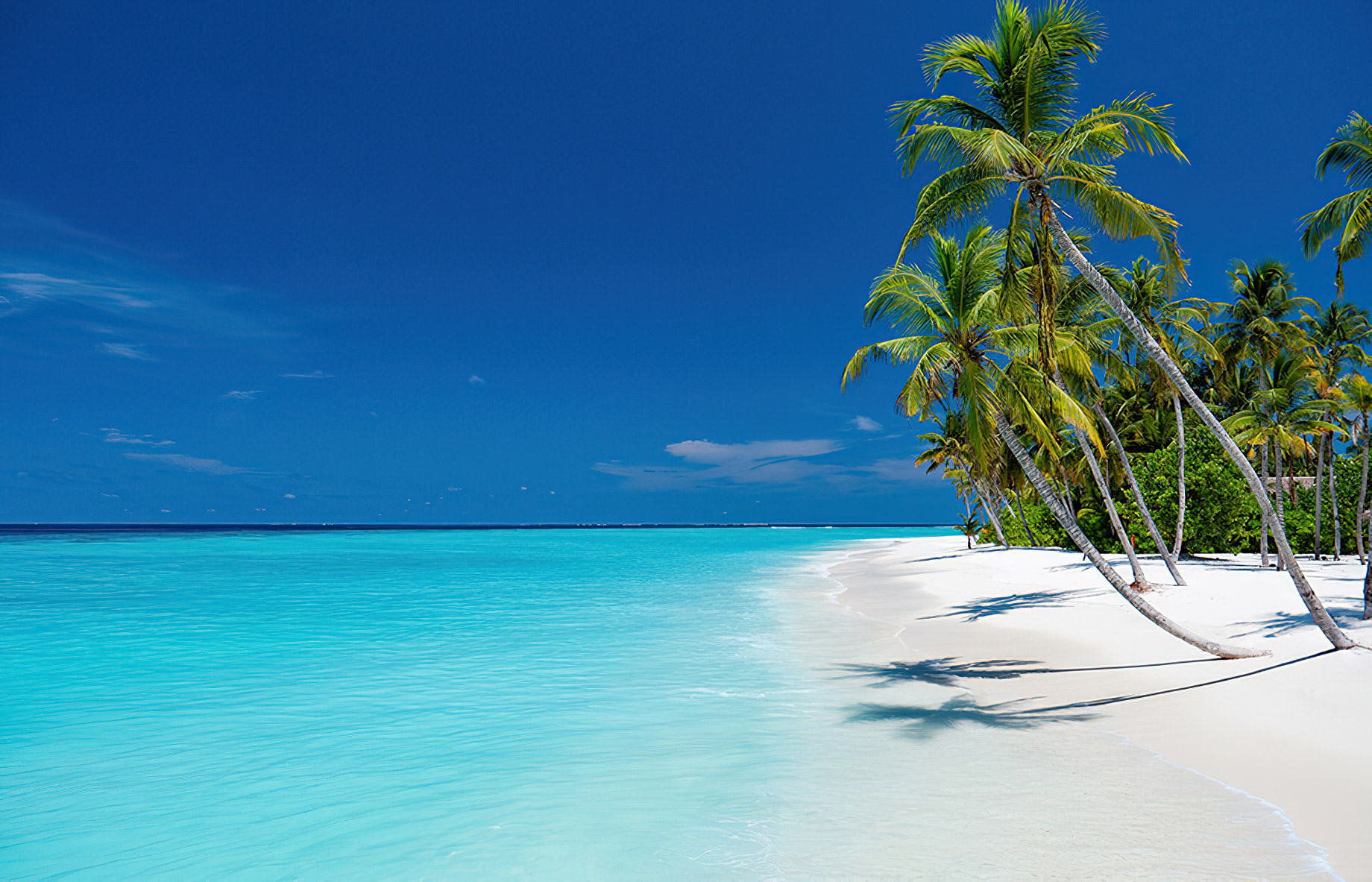 Baglioni Resort Maldives – Maagau Island, Rinbudhoo, Maldives – Beach Palm Trees
