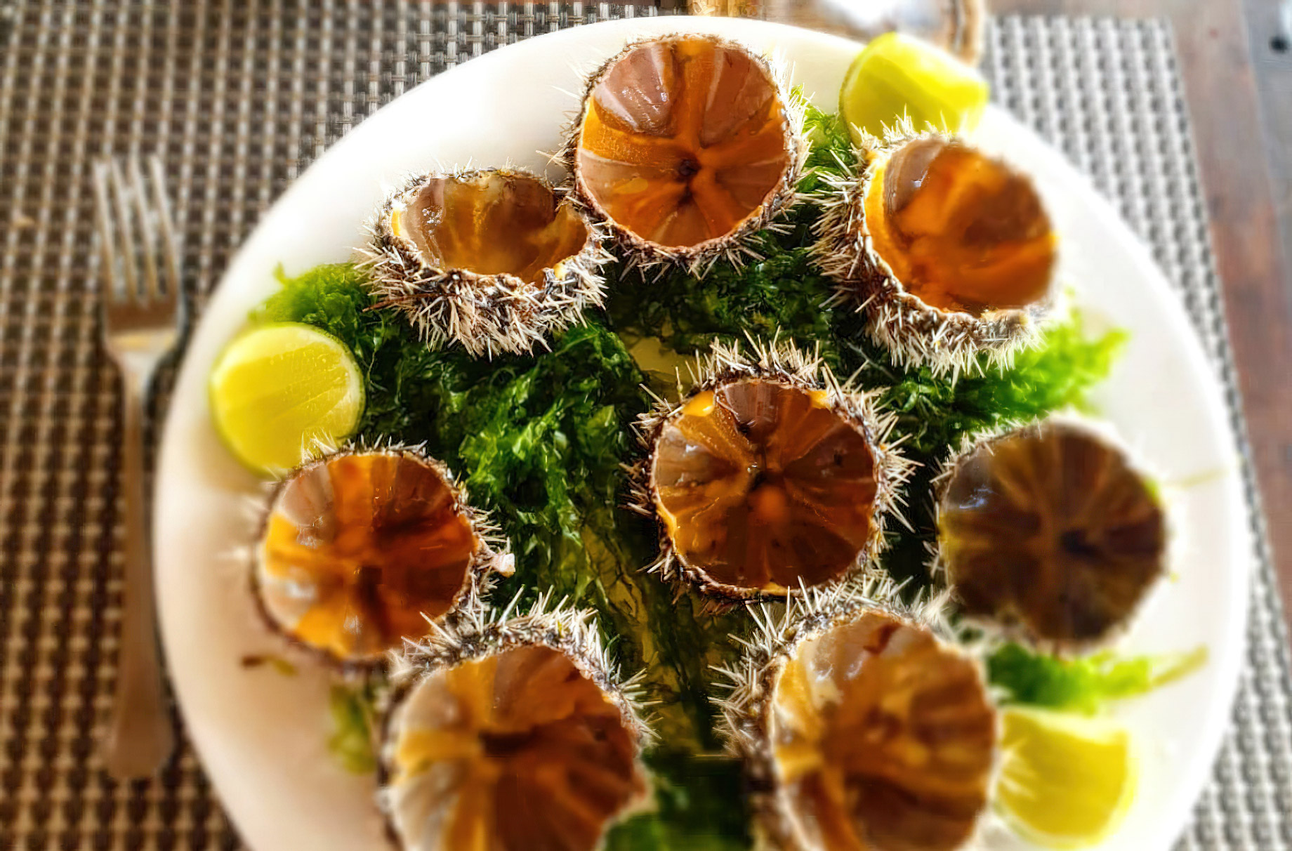 The Island Pongwe Lodge - Pongwe, Zanzibar, Tanzania - Gourmet Food