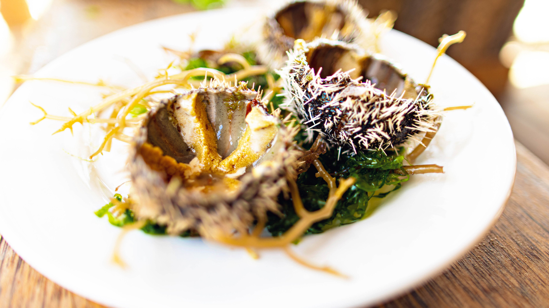 The Island Pongwe Lodge - Pongwe, Zanzibar, Tanzania - Gourmet Food