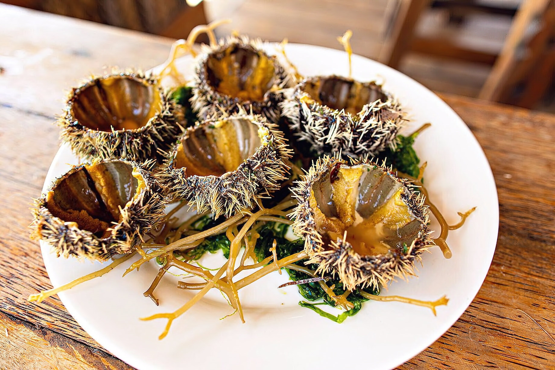 The Island Pongwe Lodge - Pongwe, Zanzibar, Tanzania - Gourmet Food