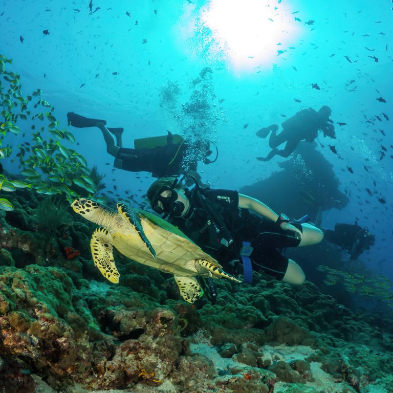 Constance Halaveli Resort – North Ari Atoll, Maldives – Scuba Diving