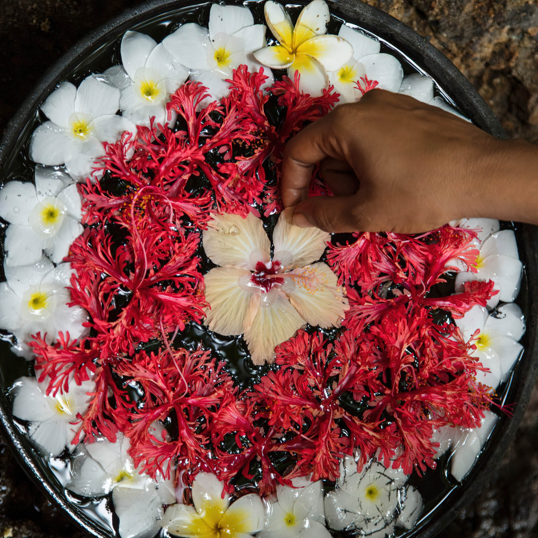 Constance Tsarabanjina Island Resort - Madagascar - Spa Flowers