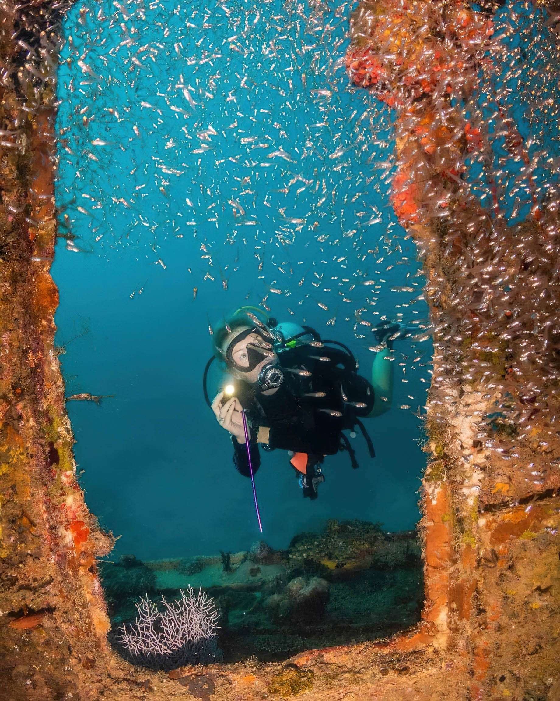 Constance Halaveli Resort - North Ari Atoll, Maldives - Scuba Diving