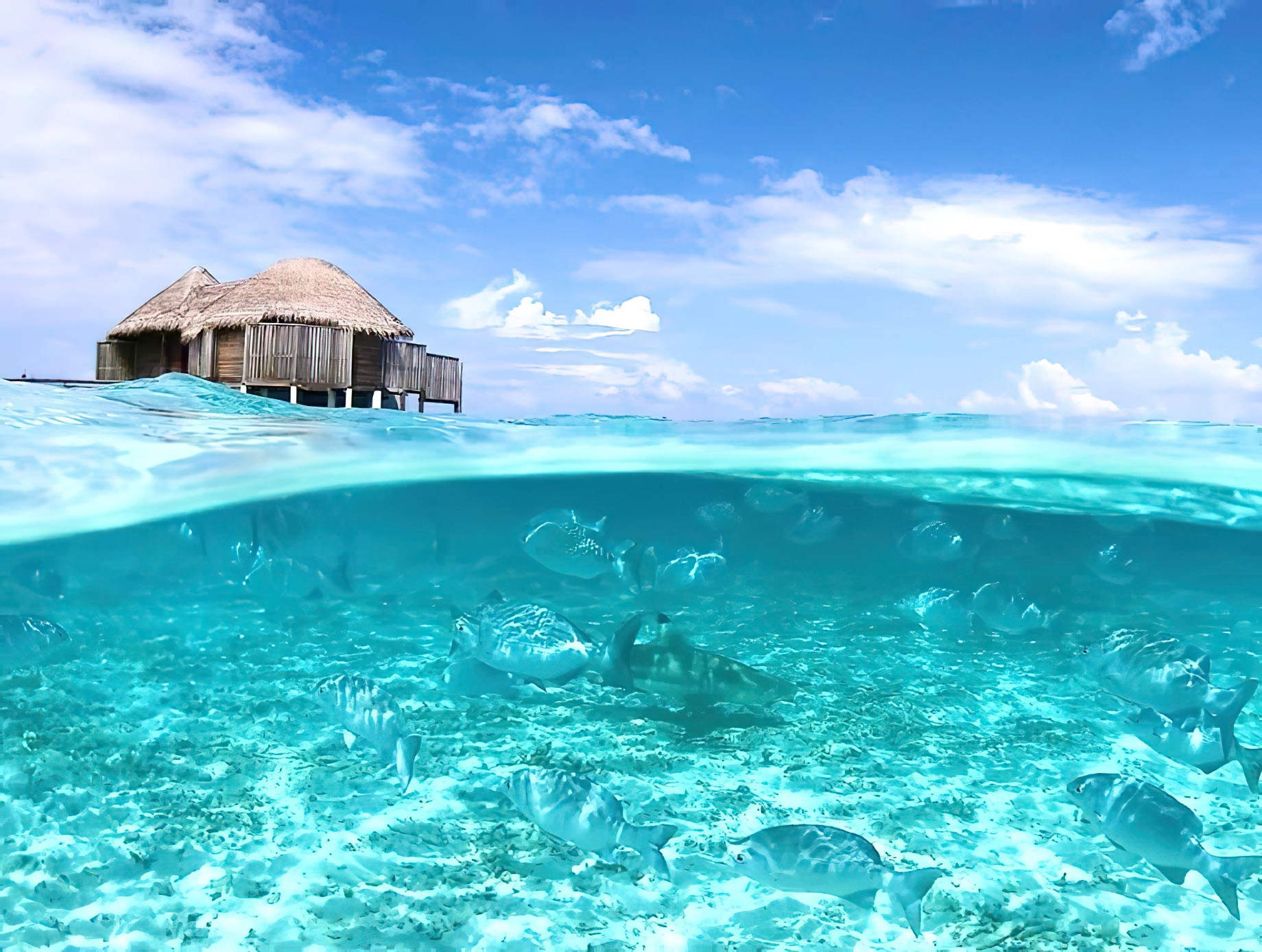 Constance Halaveli Resort – North Ari Atoll, Maldives – Underwater View