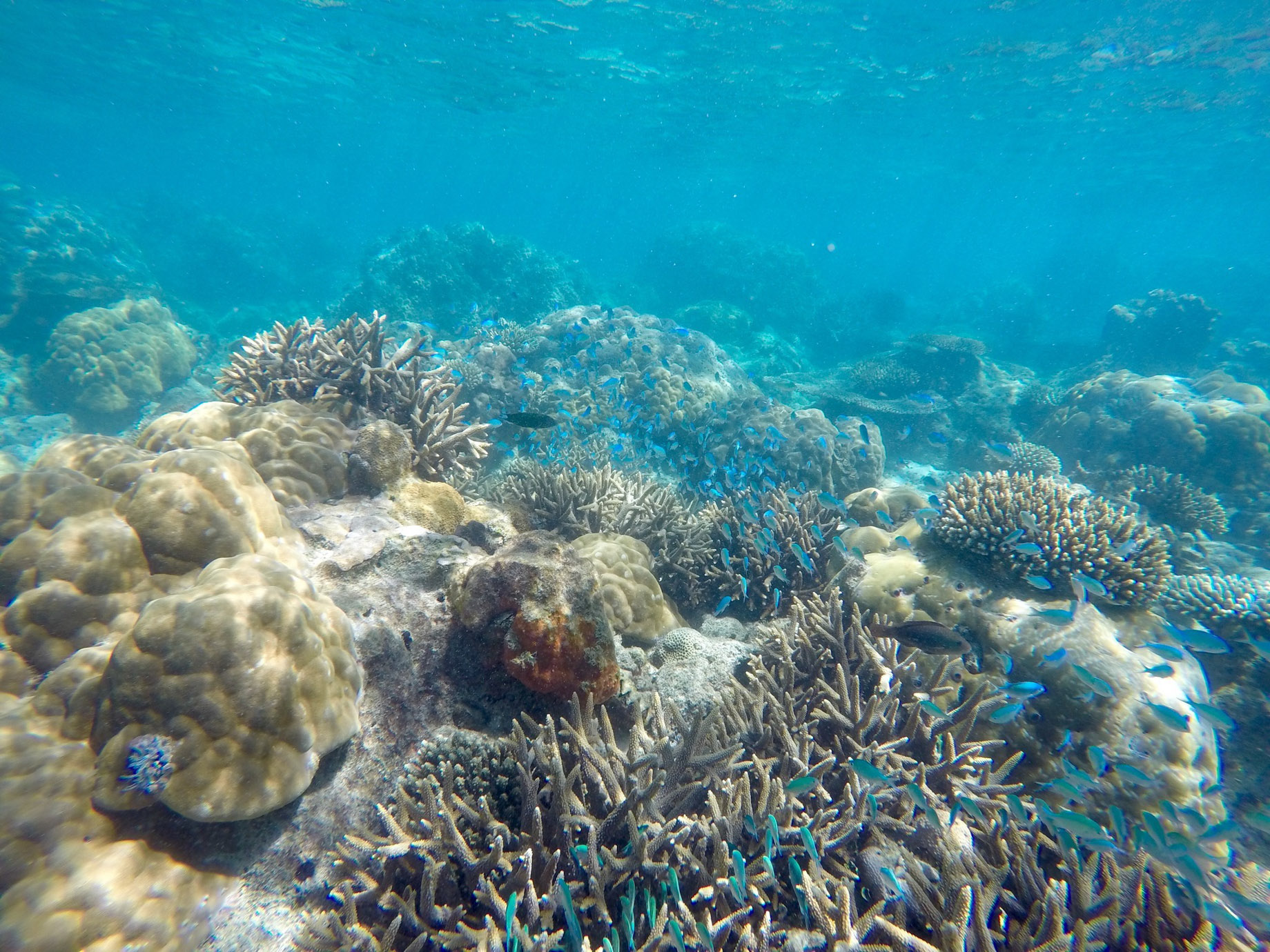 Constance Tsarabanjina Island Resort – Madagascar – Snorkeling