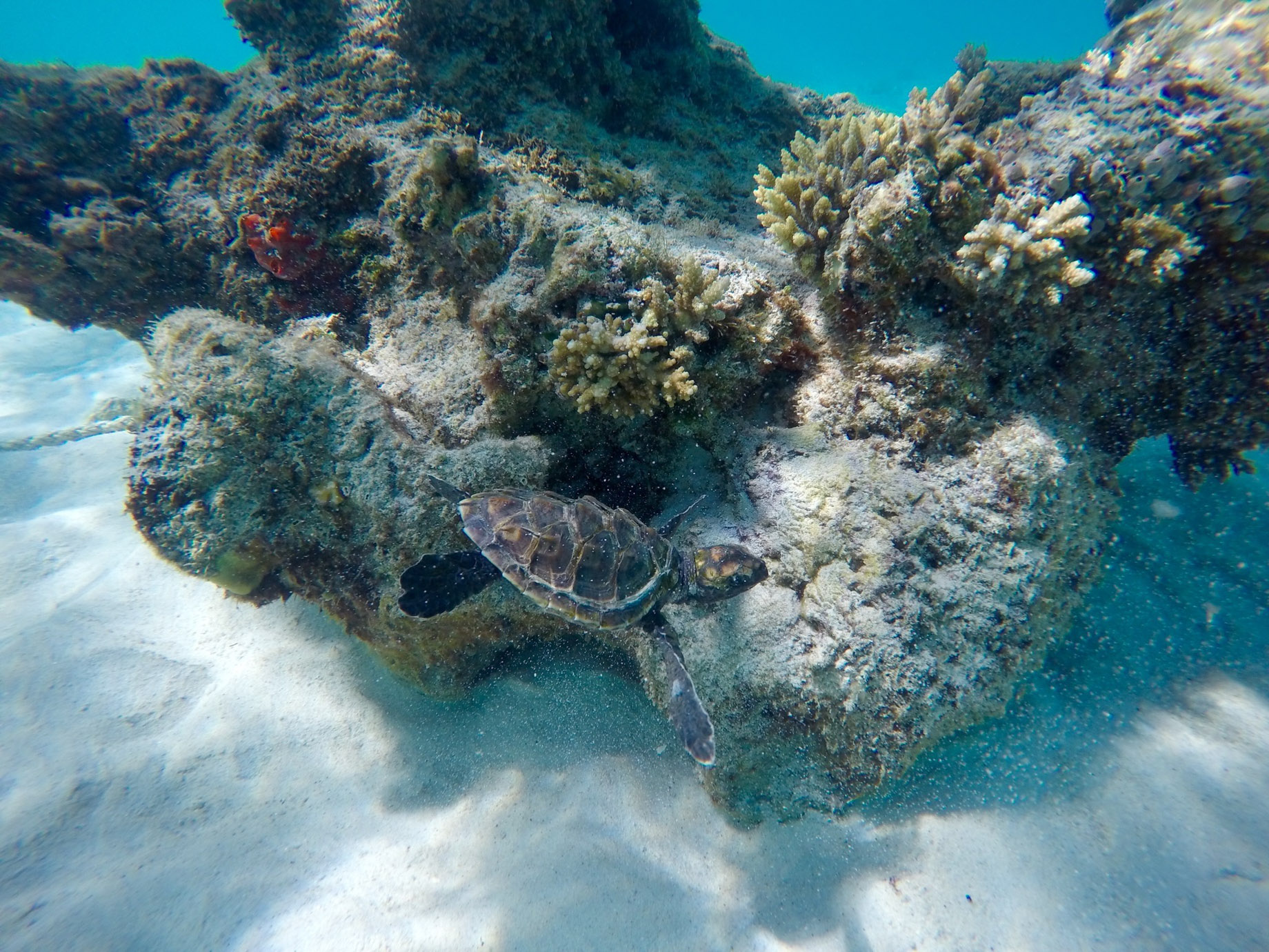 Constance Tsarabanjina Island Resort – Madagascar – Snorkeling