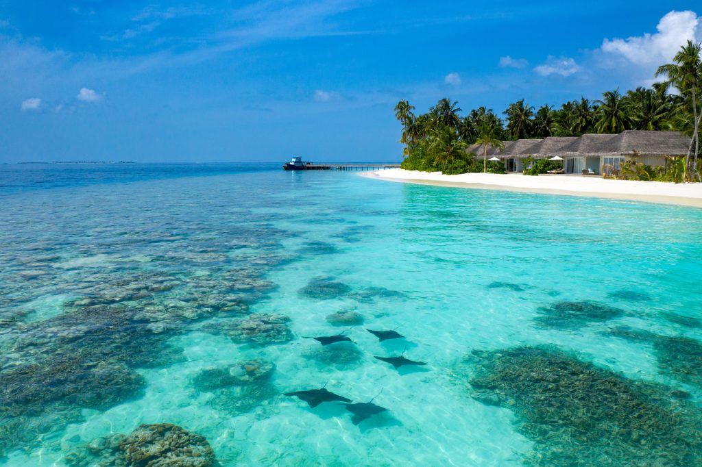 Baglioni Resort Maldives - Maagau Island, Rinbudhoo, Maldives - Eagle Rays