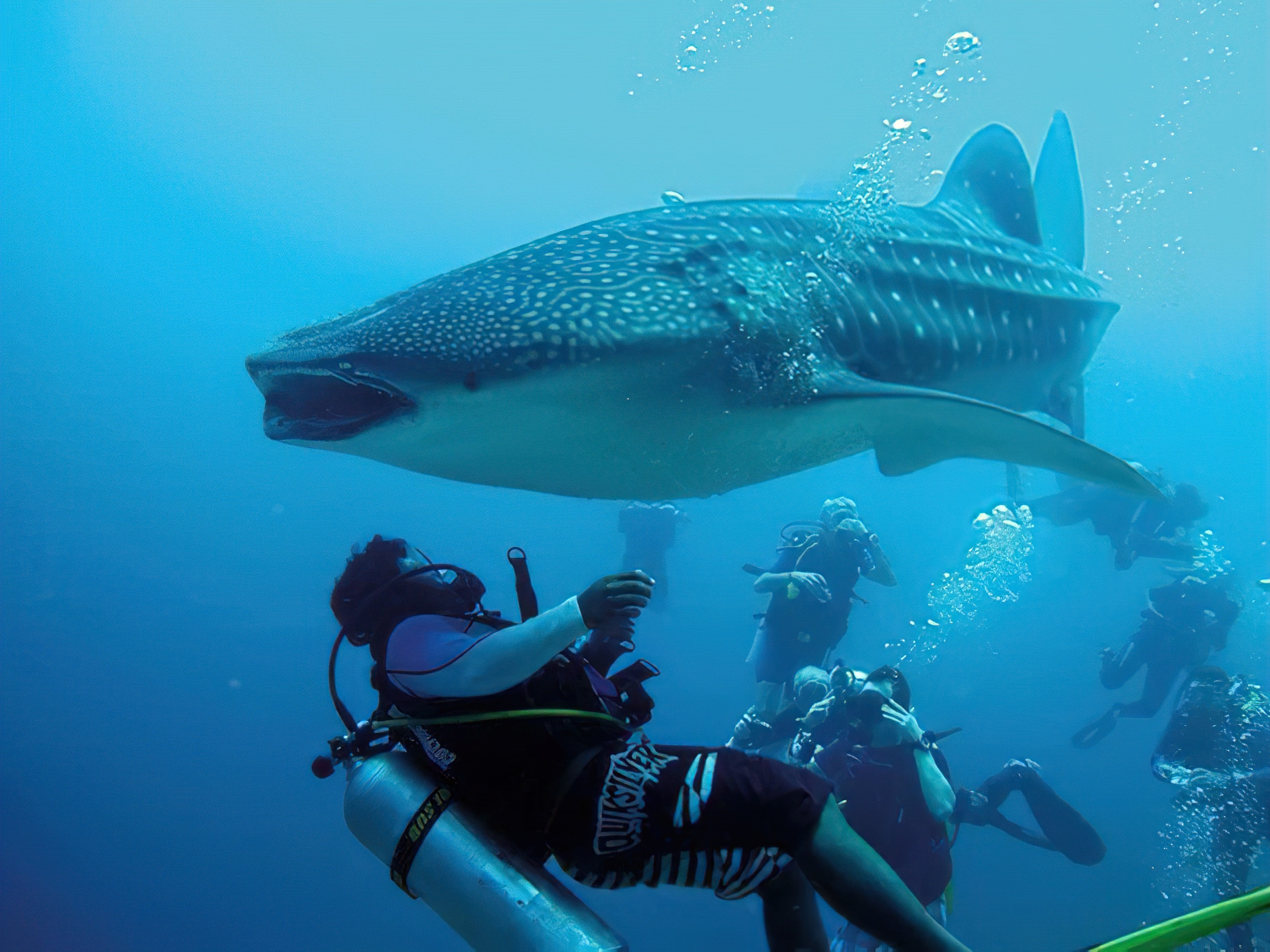 Constance Moofushi Resort - South Ari Atoll, Maldives - Scuba Diving
