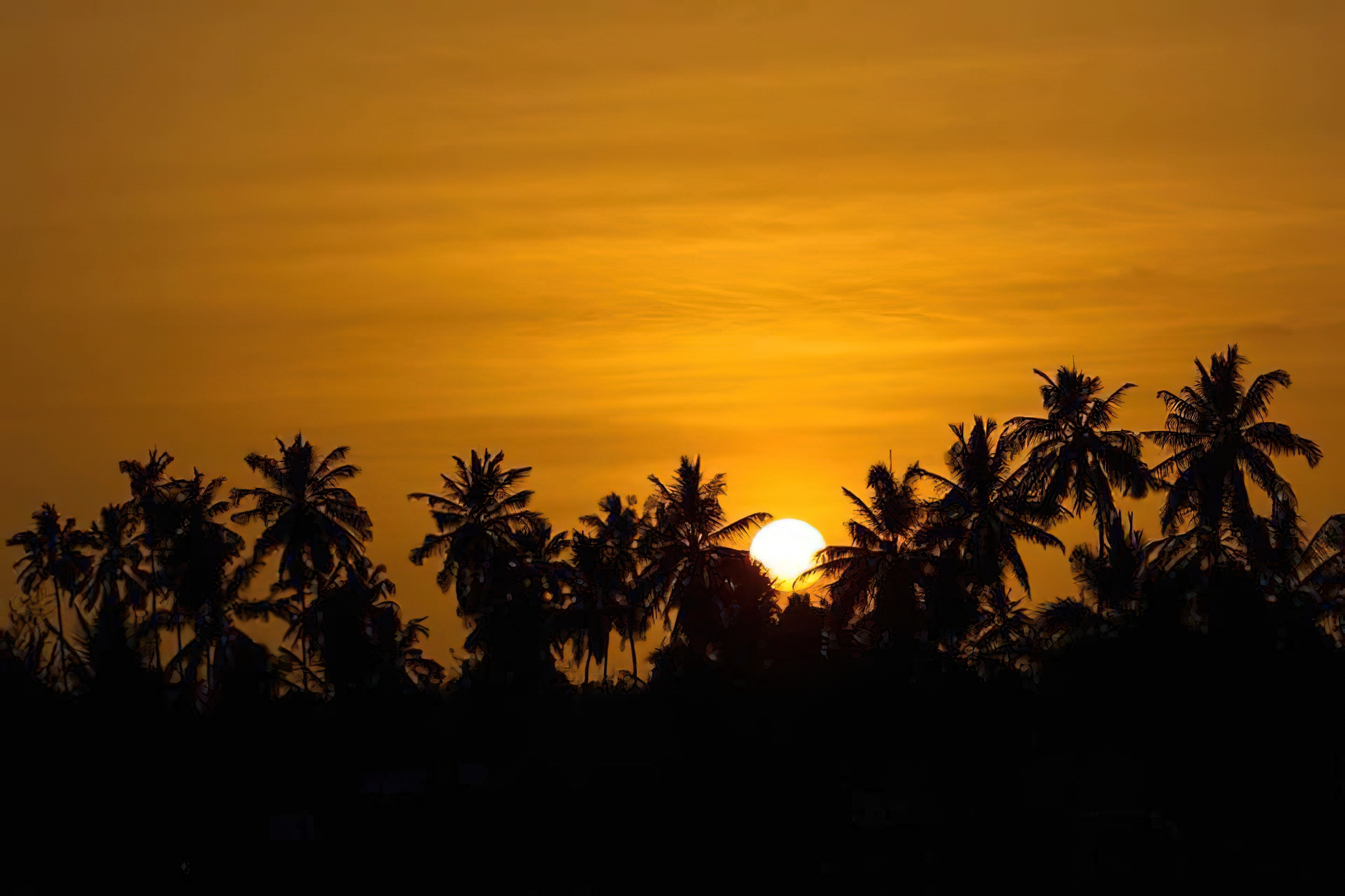 The Island Pongwe Lodge - Pongwe, Zanzibar, Tanzania - Sunset