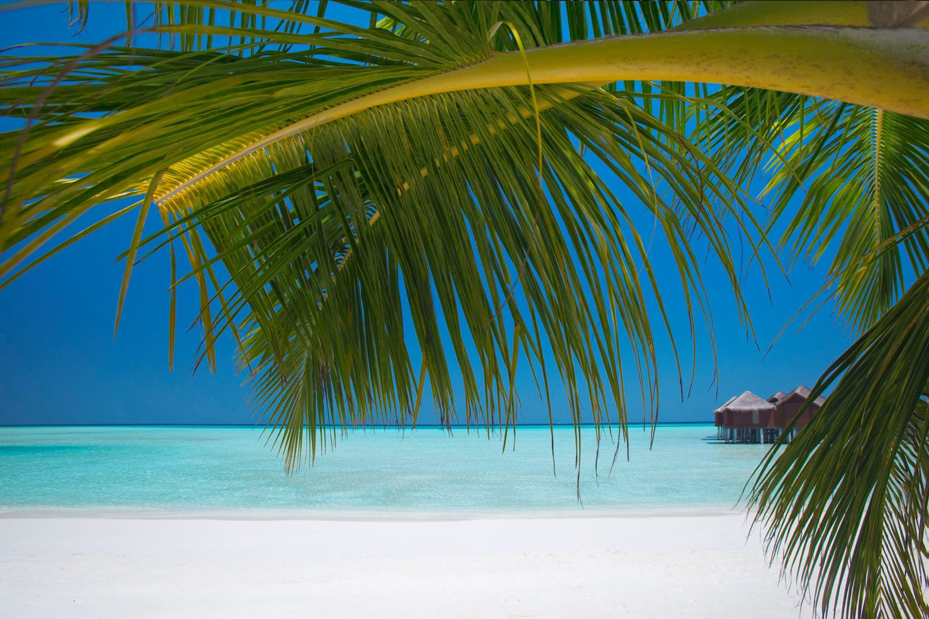 Anantara Thigu Maldives Resort - South Male Atoll, Maldives - White Sand Beach