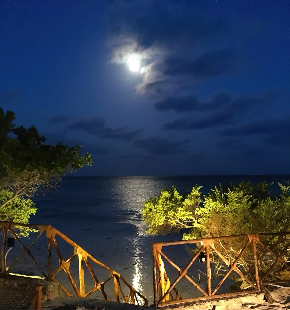 The Island Pongwe Lodge - Pongwe, Zanzibar, Tanzania - Ocean Moonlight