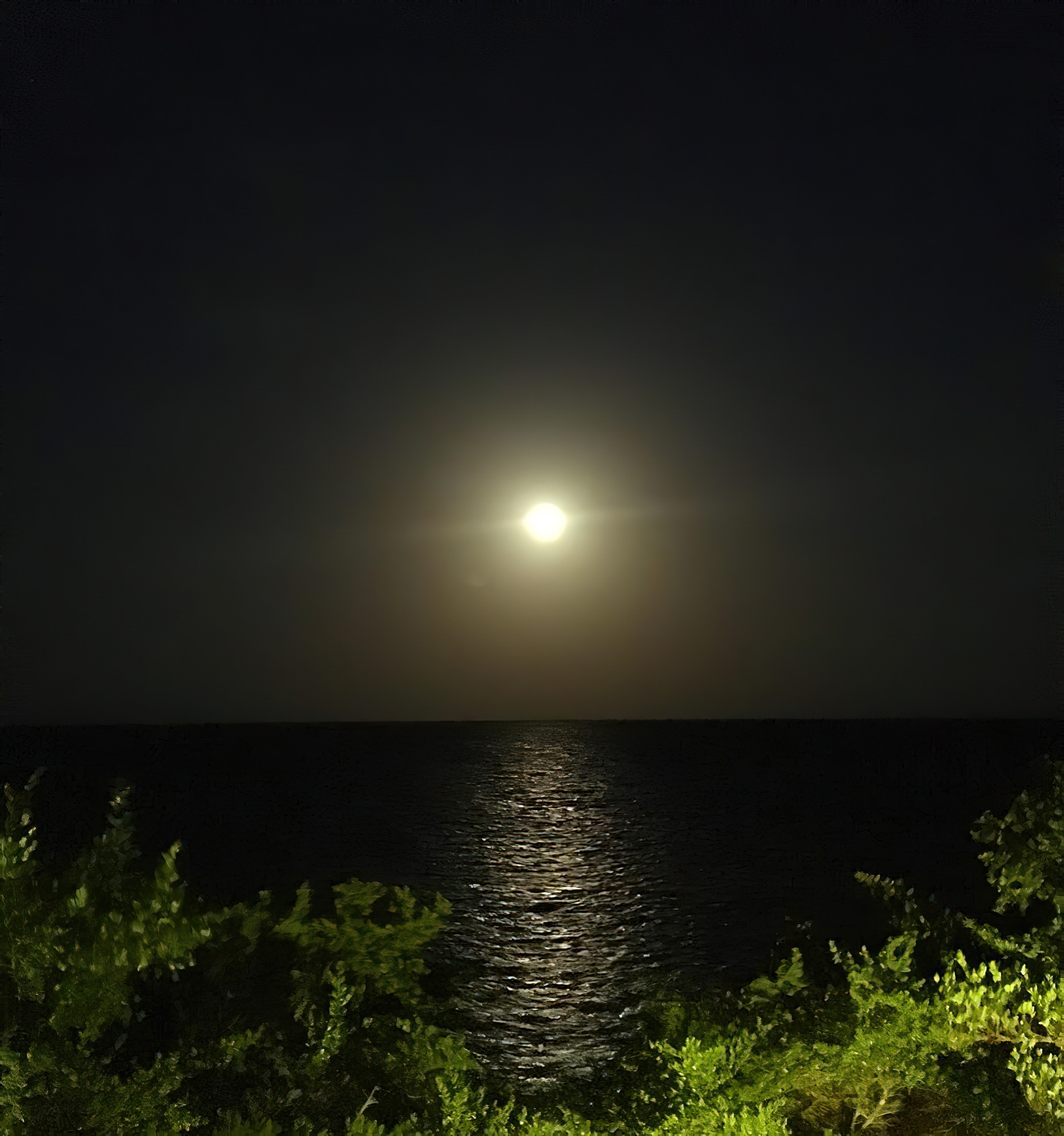 The Island Pongwe Lodge - Pongwe, Zanzibar, Tanzania - Sunset
