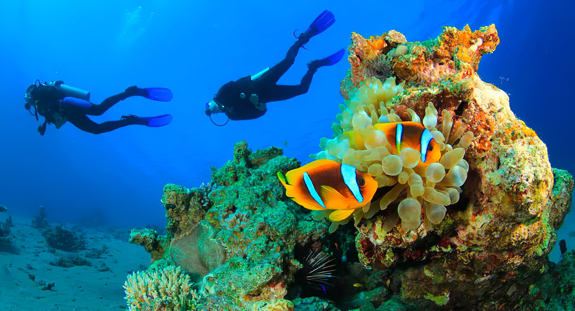 Anantara Thigu Maldives Resort - South Male Atoll, Maldives - Scuba Diving