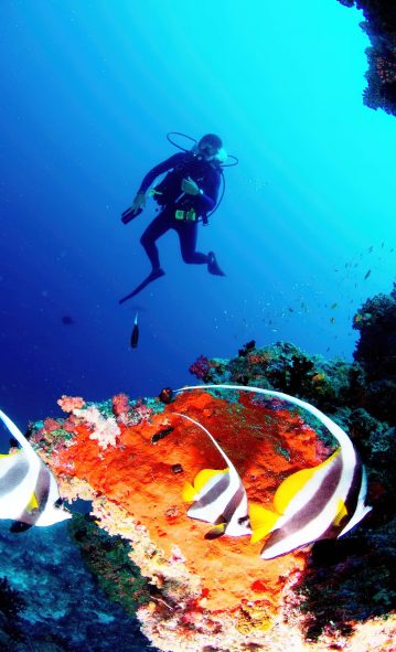 Anantara Thigu Maldives Resort - South Male Atoll, Maldives - Scuba Diving
