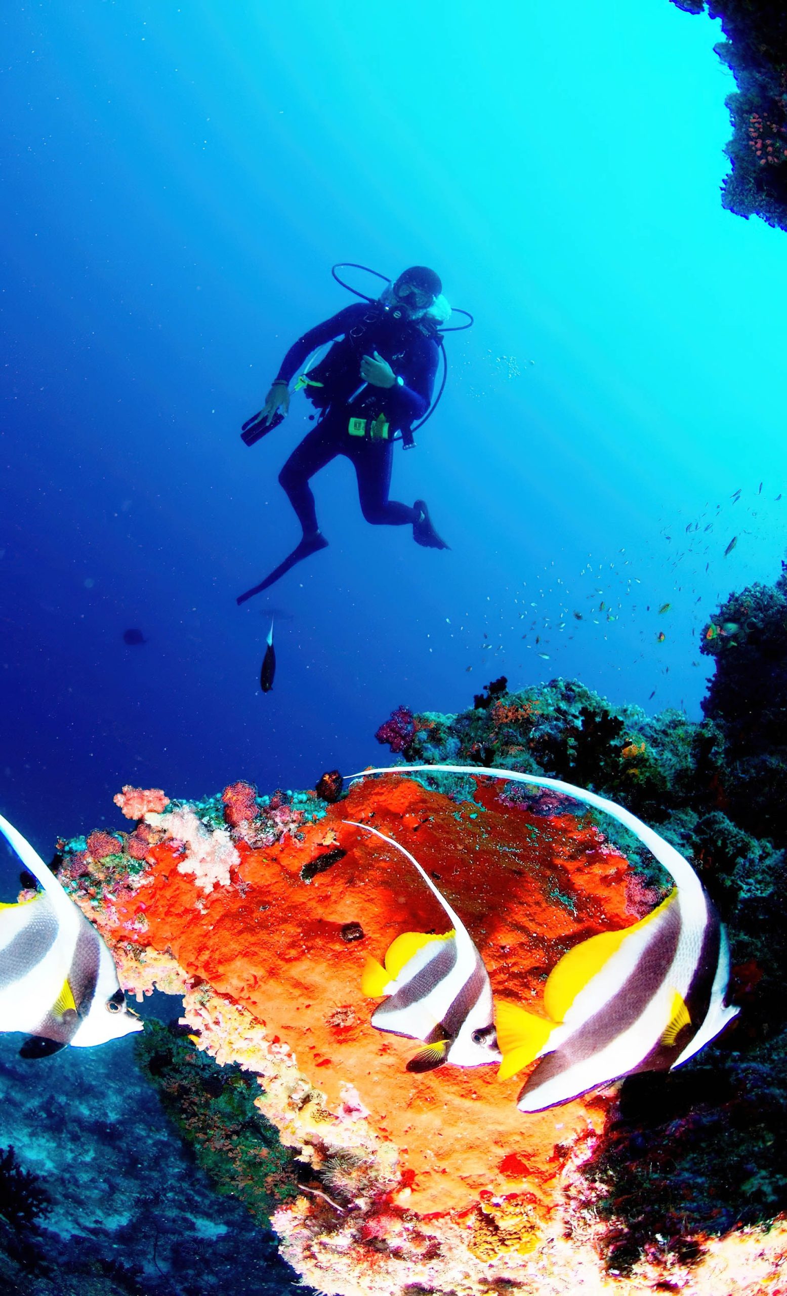 Anantara Thigu Maldives Resort – South Male Atoll, Maldives – Scuba Diving