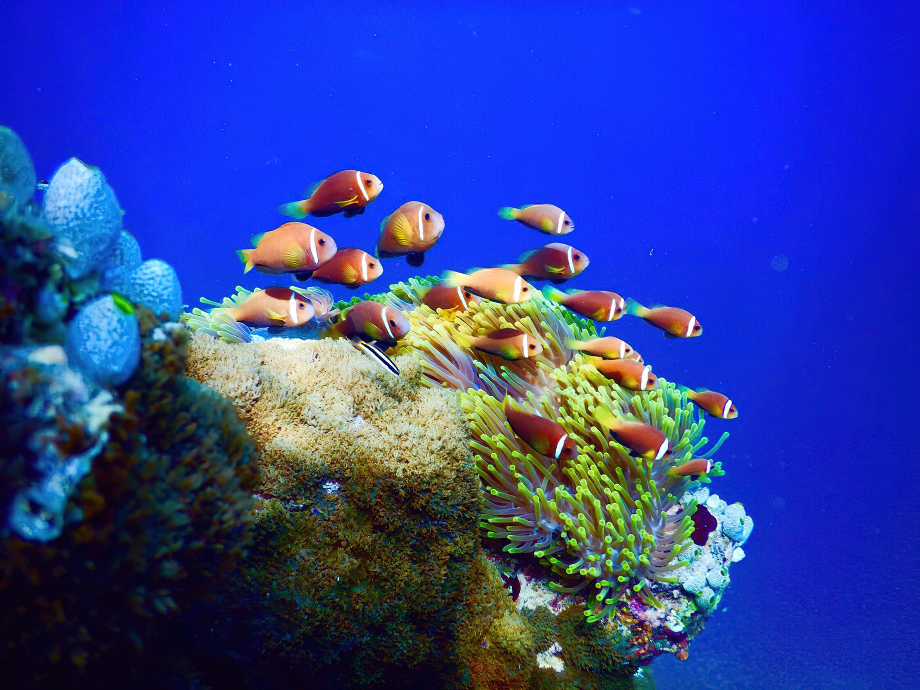 Baglioni Resort Maldives – Maagau Island, Rinbudhoo, Maldives – Underwater Adventures