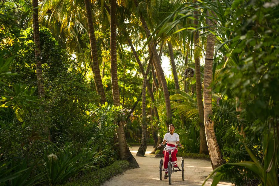 Anantara Kihavah Maldives Villas Resort - Baa Atoll, Maldives - Palm Tree Path