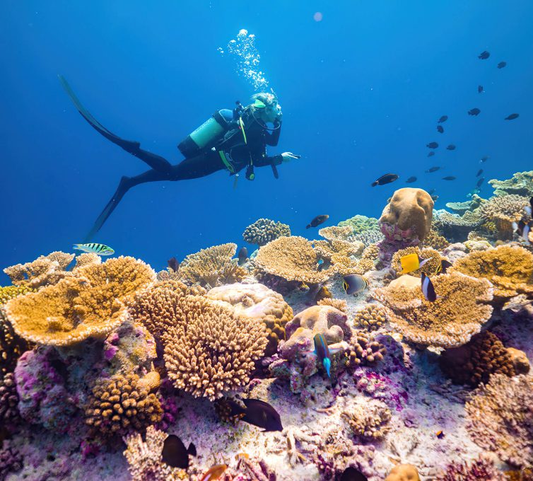 Baglioni Resort Maldives - Maagau Island, Rinbudhoo, Maldives - Scuba Diving Underwater View