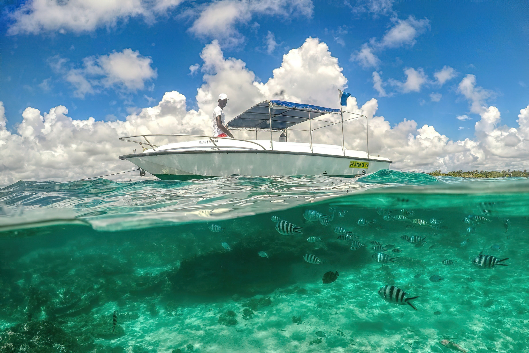 Constance Belle Mare Plage Resort - Mauritius - Snorkeling