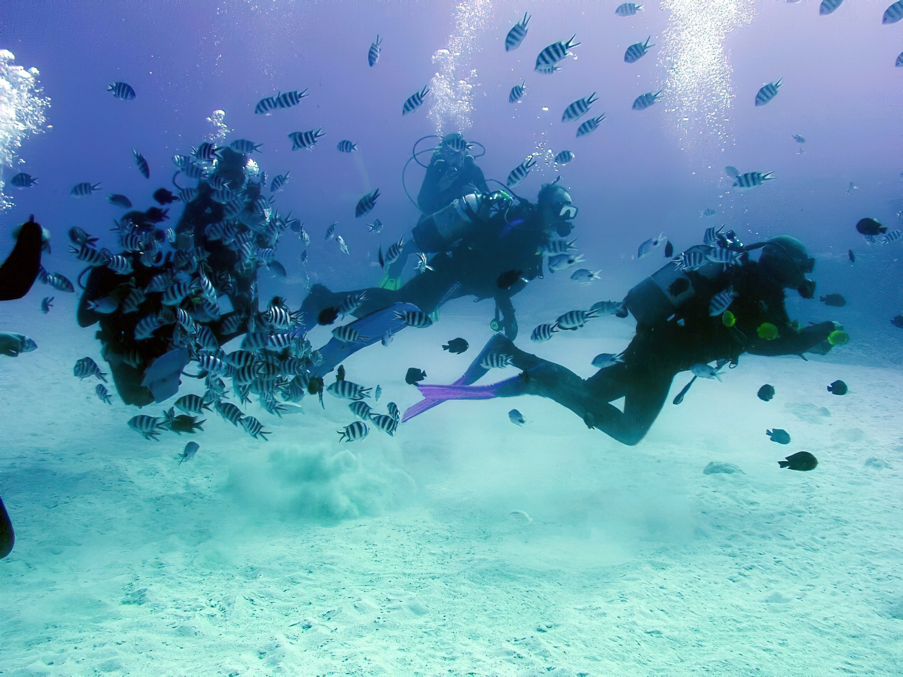 Constance Belle Mare Plage Resort - Mauritius - Scuba Diving