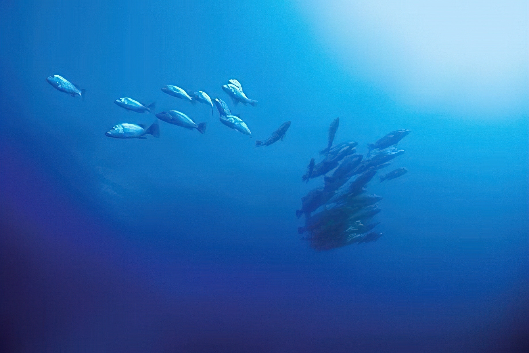 Constance Belle Mare Plage Resort – Mauritius – Scuba Diving