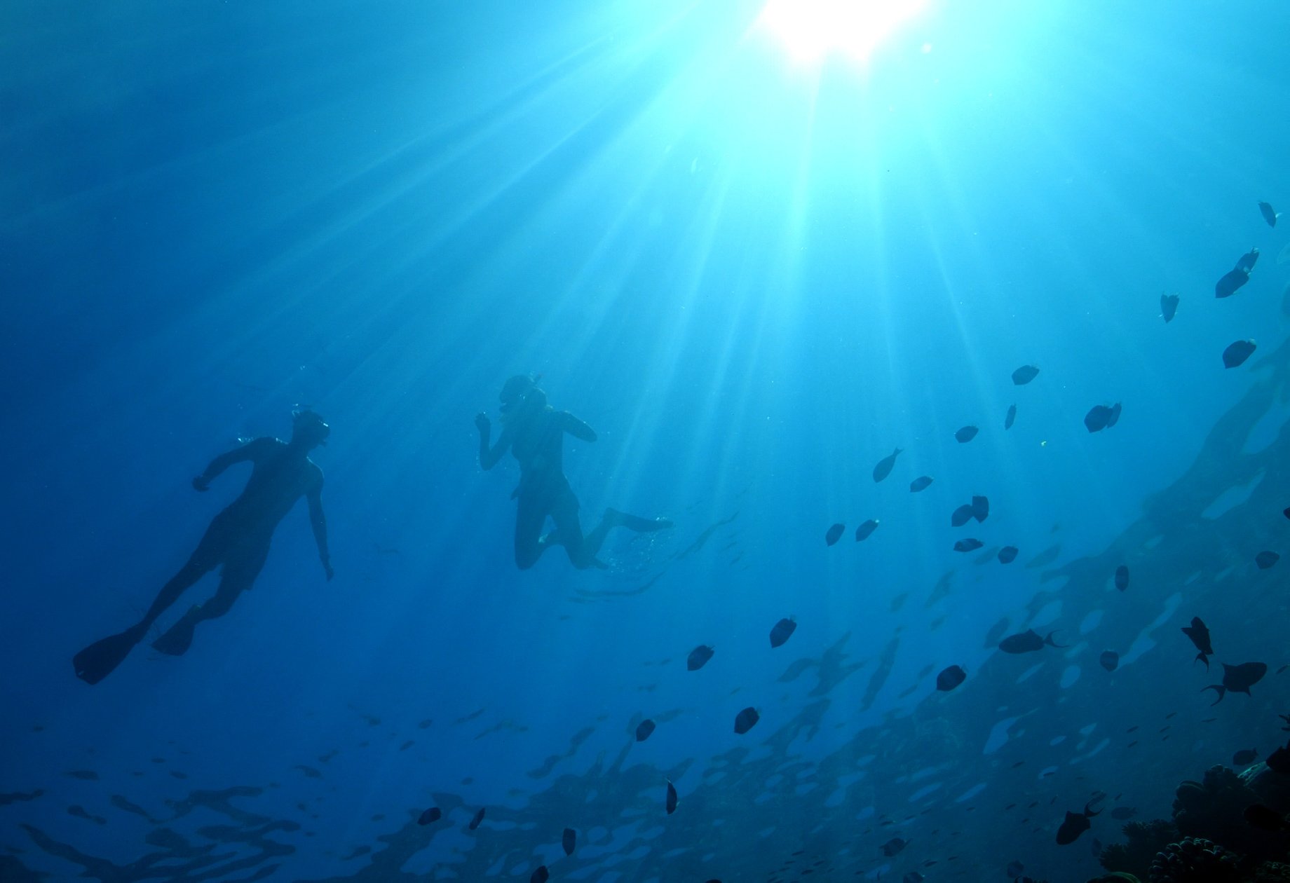 Baglioni Resort Maldives - Maagau Island, Rinbudhoo, Maldives - Snorkeling Underwater View