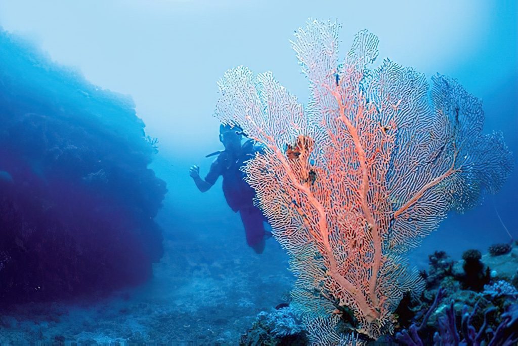 Constance Belle Mare Plage Resort - Mauritius - Scuba Diving
