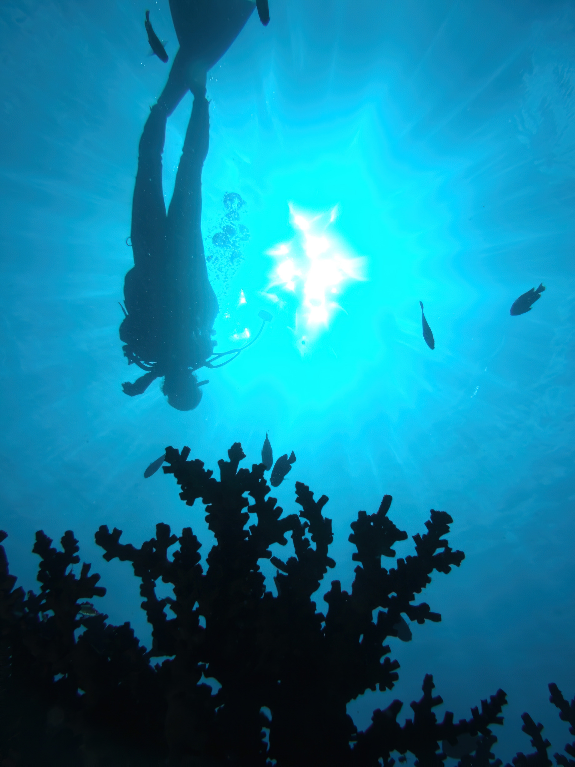 Constance Belle Mare Plage Resort - Mauritius - Scuba Diving