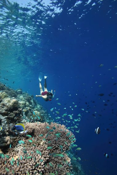 Anantara Kihavah Maldives Villas Resort - Baa Atoll, Maldives - House Reef Snorkeling
