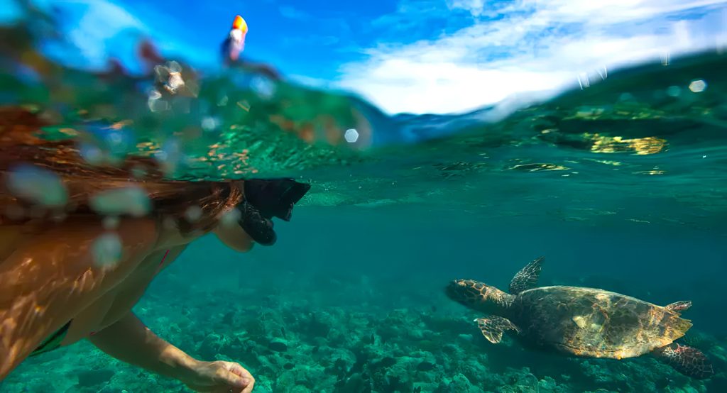 Anantara Kihavah Maldives Villas Resort - Baa Atoll, Maldives - Turtle Underwater