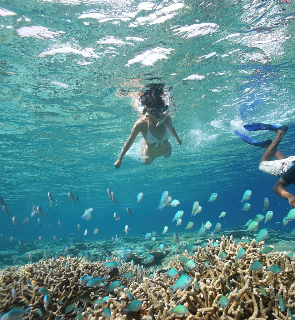 Anantara Kihavah Maldives Villas Resort - Baa Atoll, Maldives - Lagoon Snorkelling