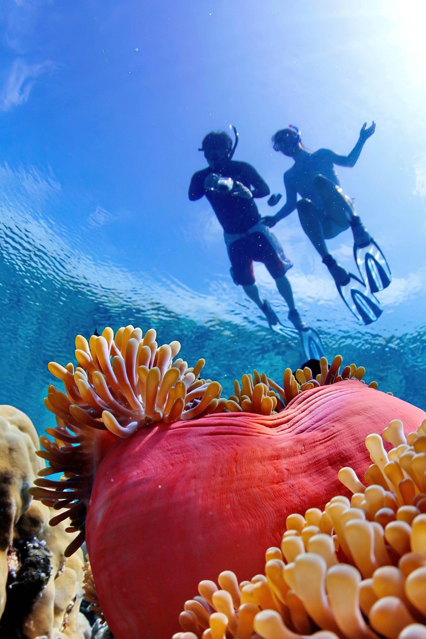 Anantara Kihavah Maldives Villas Resort - Baa Atoll, Maldives - Snorkelling