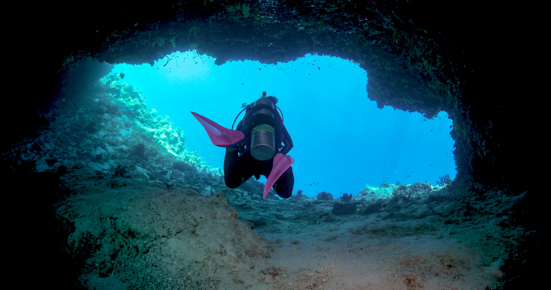 Anantara Kihavah Maldives Villas Resort - Baa Atoll, Maldives - House Reef Scuba Diving