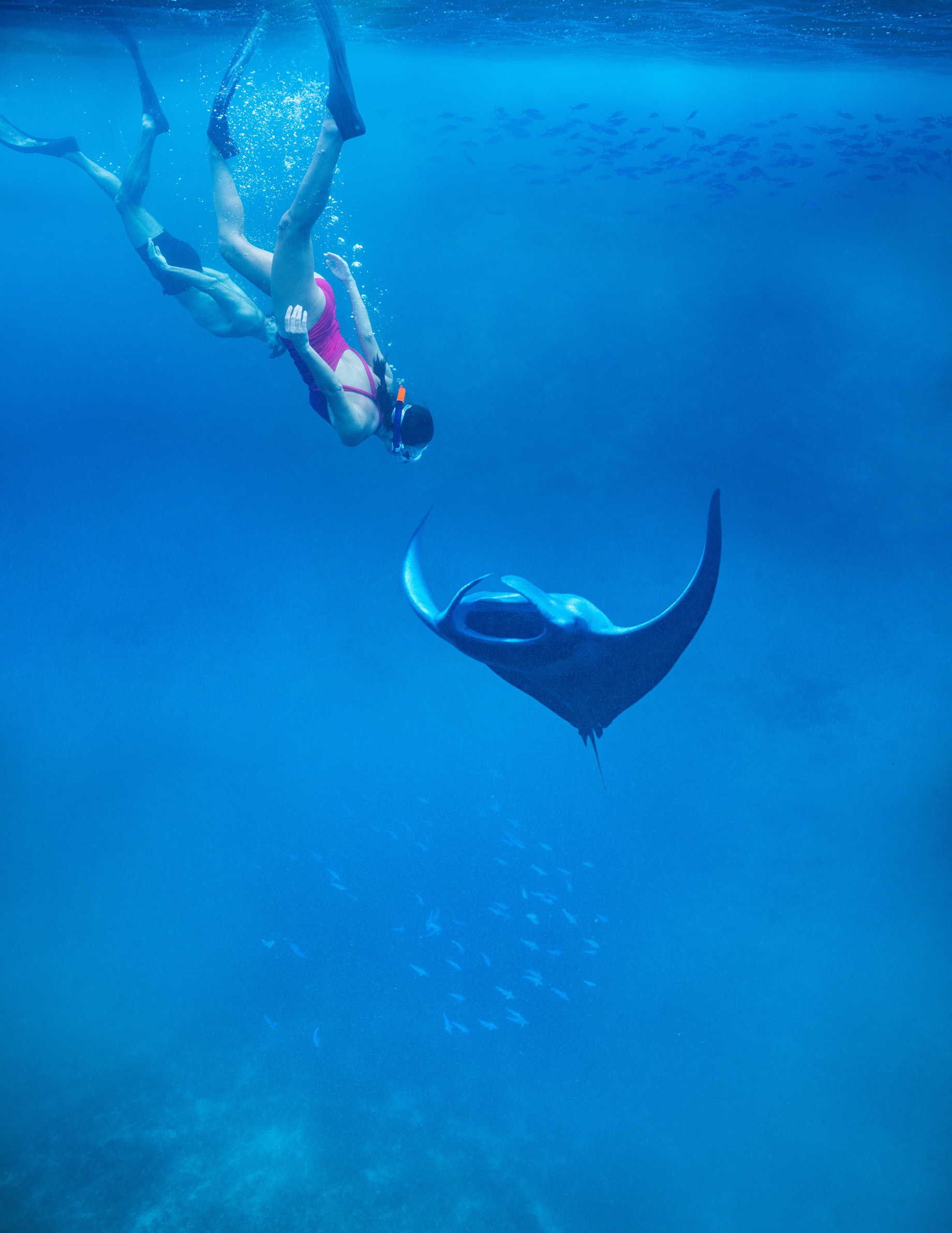 Anantara Kihavah Maldives Villas Resort – Baa Atoll, Maldives – Manta Ray Snorkelling